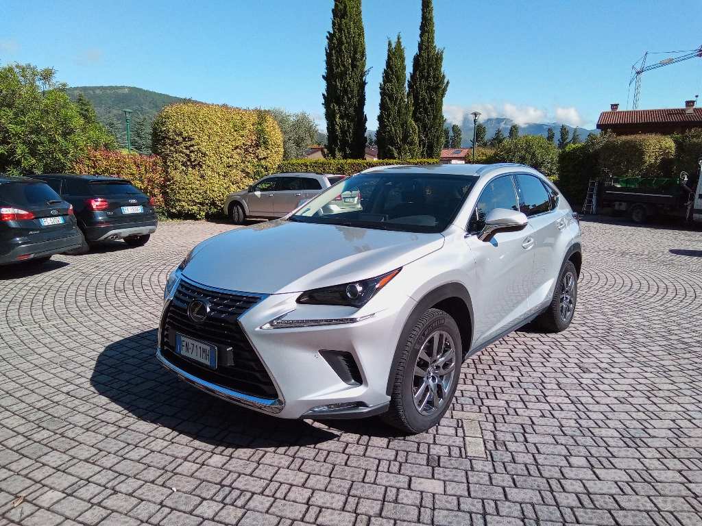 LEXUS NX 1ª serie NX Hybrid 4WD Executive - 1