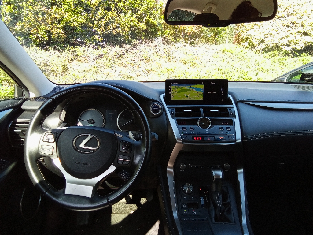 LEXUS NX 1ª serie NX Hybrid 4WD Executive - 2