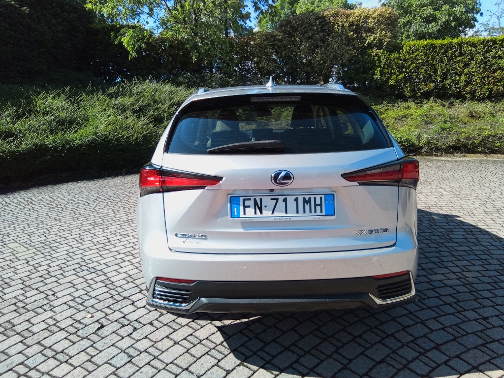 LEXUS NX 1ª serie NX Hybrid 4WD Executive - 3