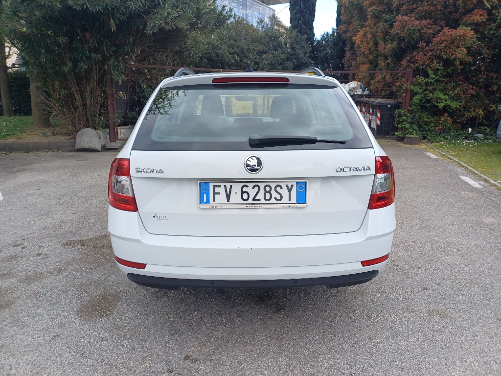 SKODA Octavia 3ª serie Octavia 1.6 TDI CR 115 CV DSG Wagon Executive - 3