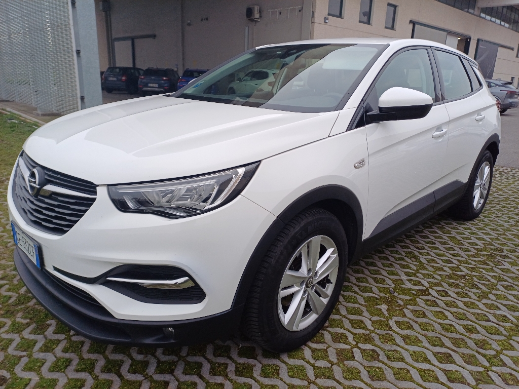 OPEL Grandland 1ª serie Grandland X 1.5 diesel Ecotec Start&Stop Business - 1