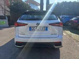 LEXUS NX 1ª serie NX Hybrid 4WD Premium - 3