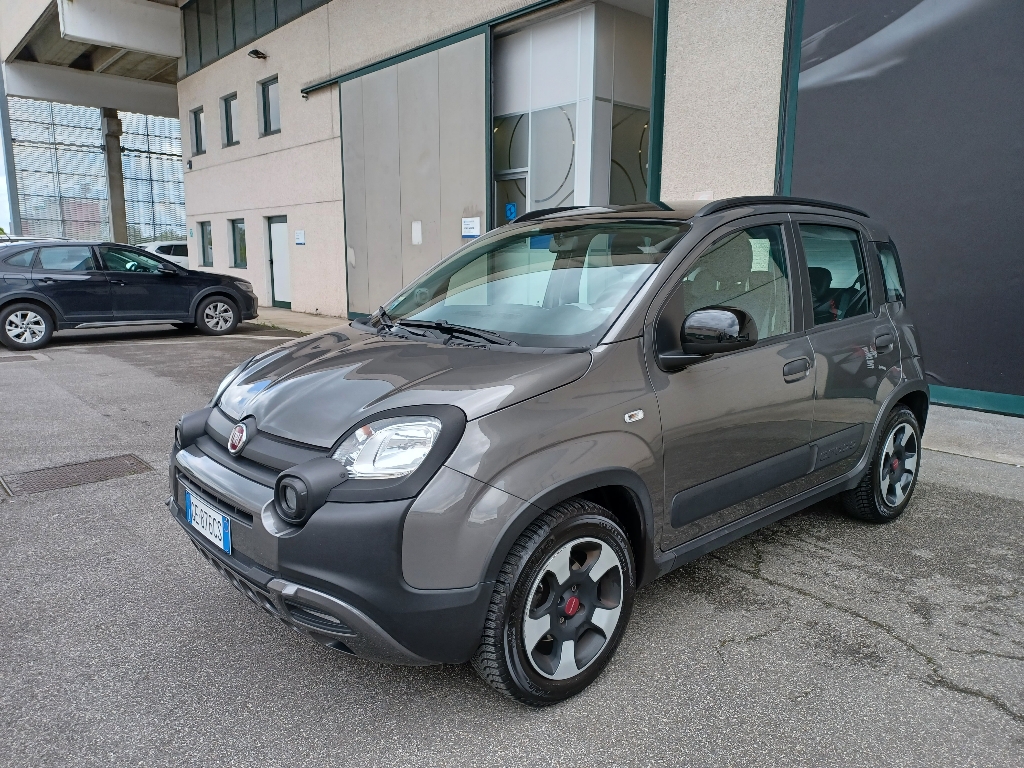FIAT Panda 3ª serie Panda 1.0 FireFly S&S Hybrid City Cross - 1