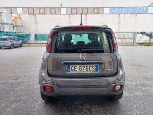 FIAT Panda 3ª serie Panda 1.0 FireFly S&S Hybrid City Cross - 3